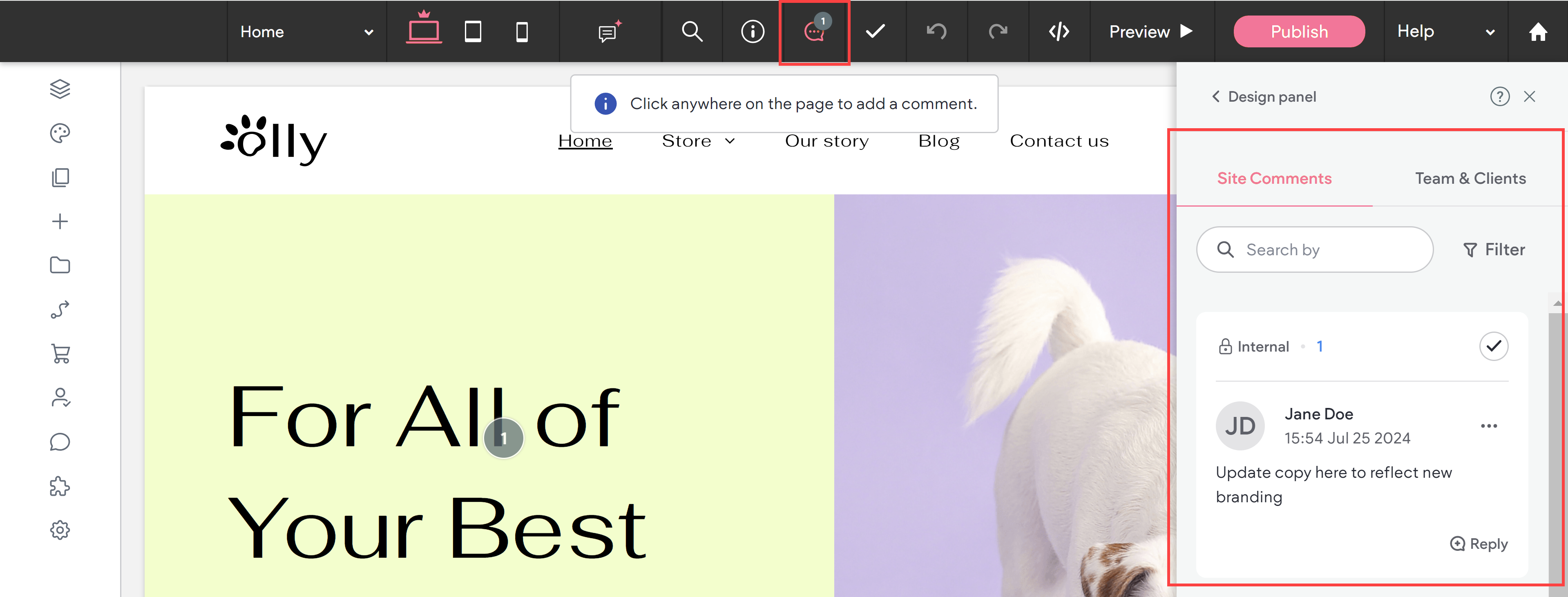 site-comments-editor2.png