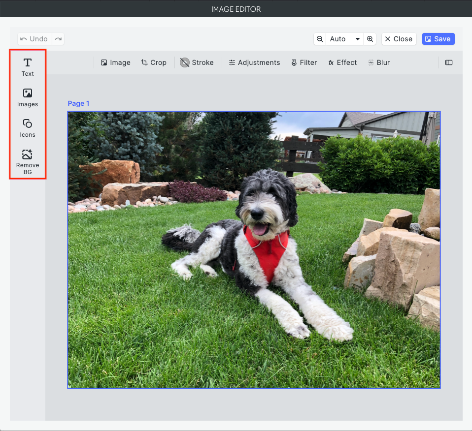 image-editor-side.png